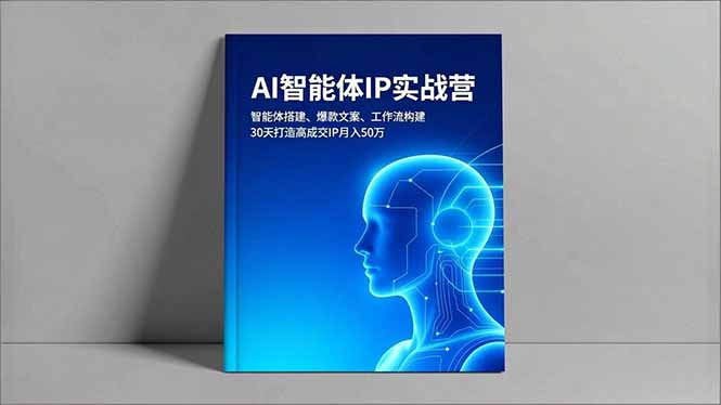 AI智能体IP实战营，智能体搭建、爆款文案、工作流构建，30天打造高成交IP月入50万-智云网