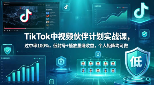TikTok中视频伙伴计划实战课，过中率100%，低封号+播放量賺收益，个人矩阵均可做-智云网