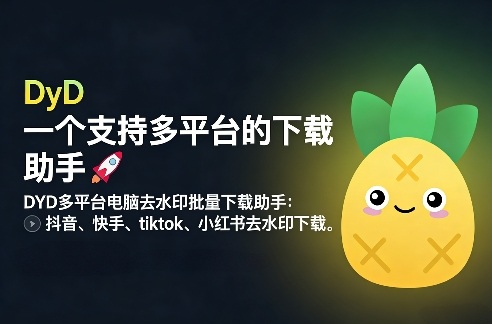 DYD多平台电脑去水印批量下载助手：抖音、快手、tiktok、小红书去水印下载-智云网