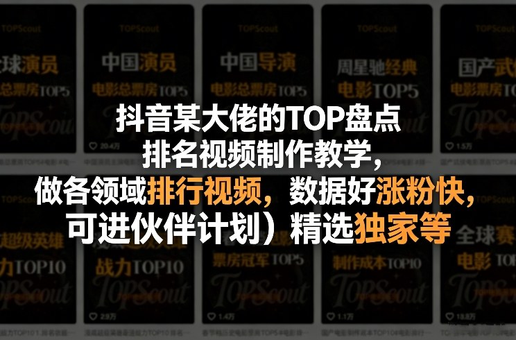 抖音某大佬的TOP盘点排名视频制作，做各领域排行视频，数据好涨粉快，可进伙伴计划＋精选独家等-智云网