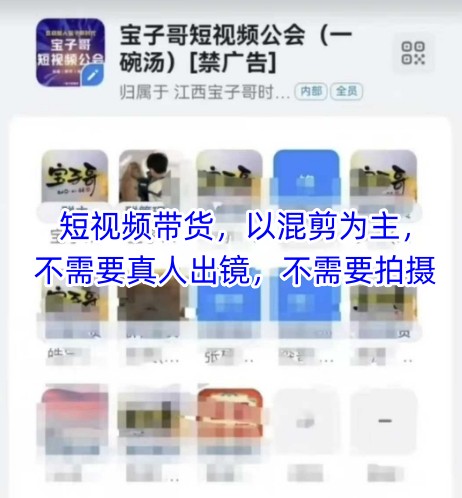 宝子哥头部团队短视频带货，以混剪为主，不需要真人出镜，不需要拍摄【更新26年1月】-智云网
