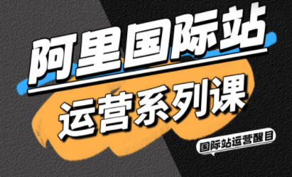 醒目老师·阿里国际站运营系列课(更新11月)-智云网