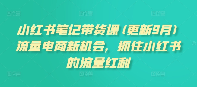 小红书笔记带货课(更新25年12月)流量电商新机会，抓住小红书的流量红利-智云网