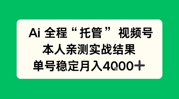 Ai自动托管视频号实战，本人亲测，单账号月入4k+【揭秘】-智云网