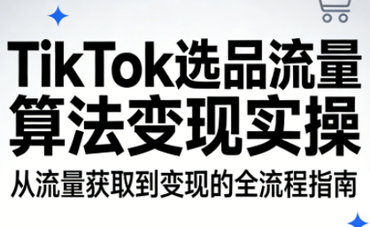 TikTok选品流量算法变现实操-智云网