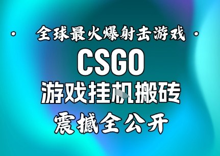 【年底大揭秘】基于全球最火爆的射击CSGO游戏挂G搬砖，日入5张+，震撼公开-智云网